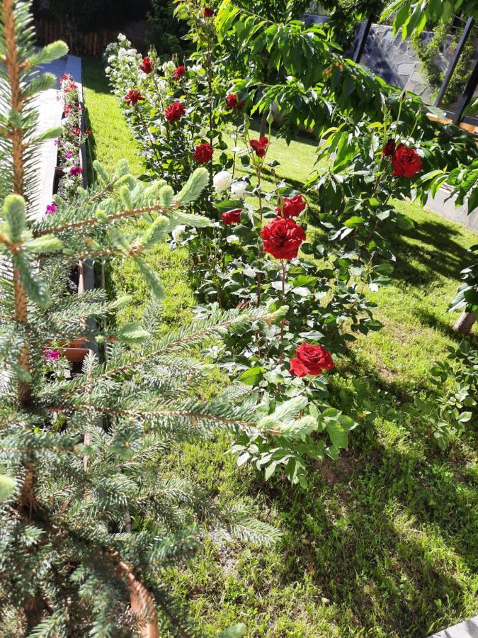 Cherry Garden Boutique Hotel Yeghegnadzor Exterior photo